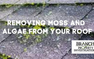 Removing Moss and Algae from Roof