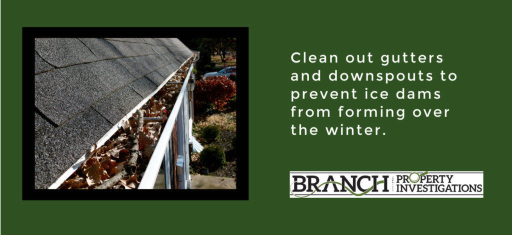 Cleaning Gutters and Roof Inspection