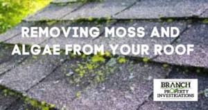 Removing Moss and Algae from your roof