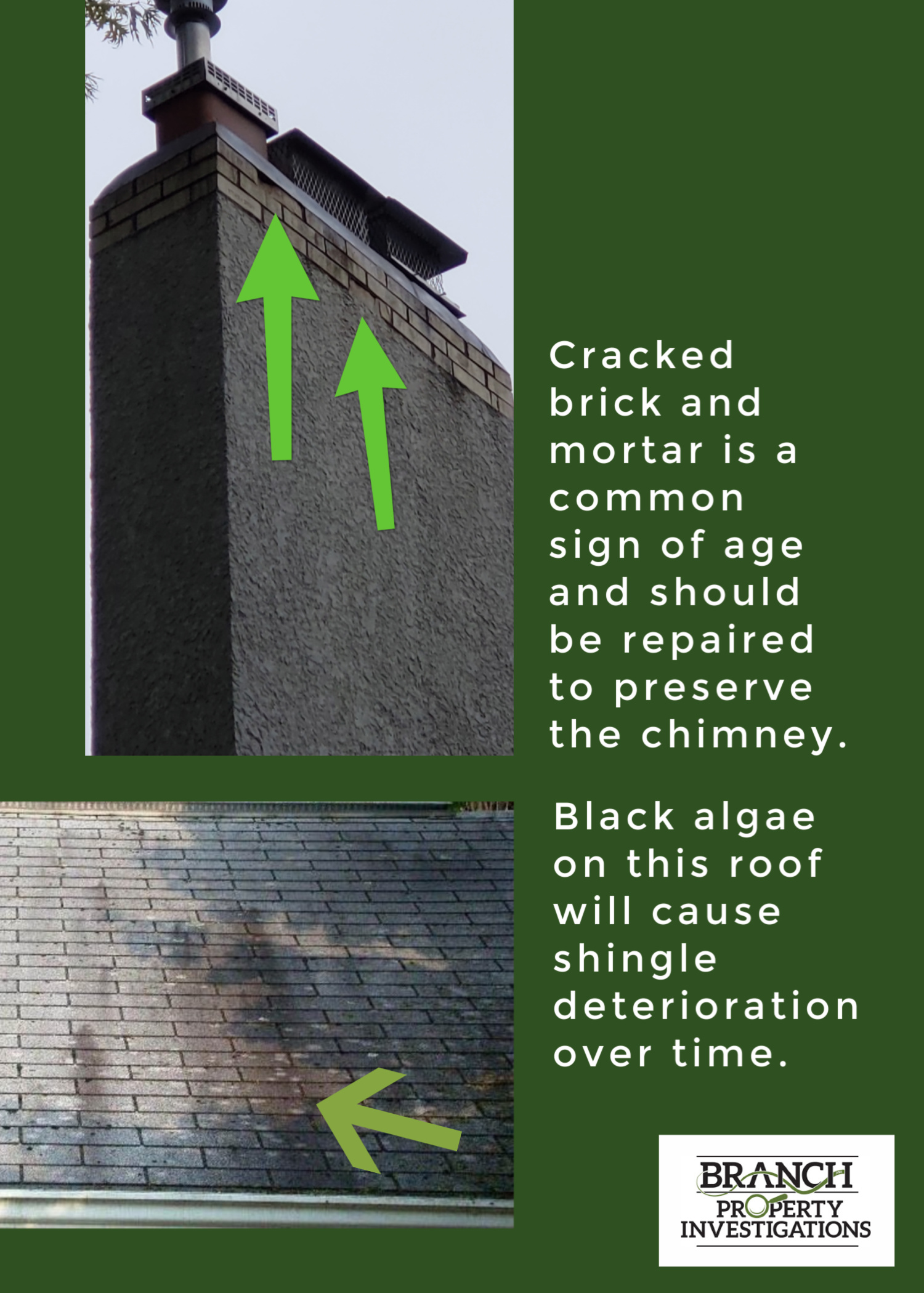 chimney repair and roof algae house hunting