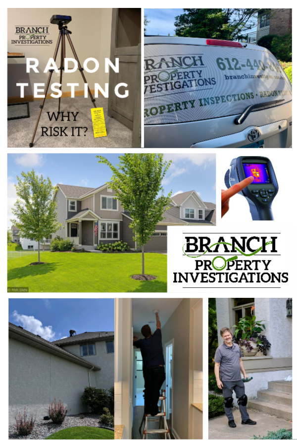 Home Inspection, Radon Testing and Moisture Intrusion