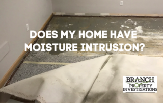 Moisture Intrusion in home