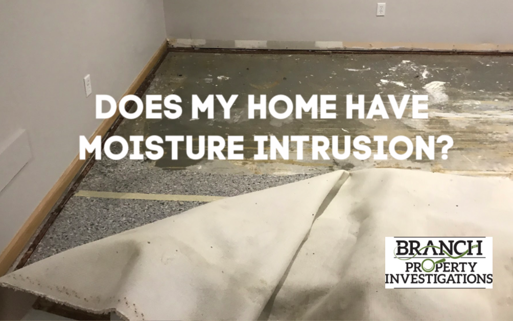Moisture Intrusion in home