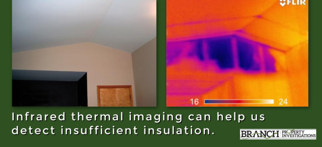 thermal imaging