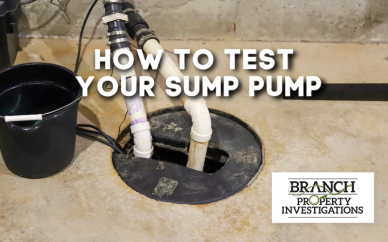 sump branchinvestigations