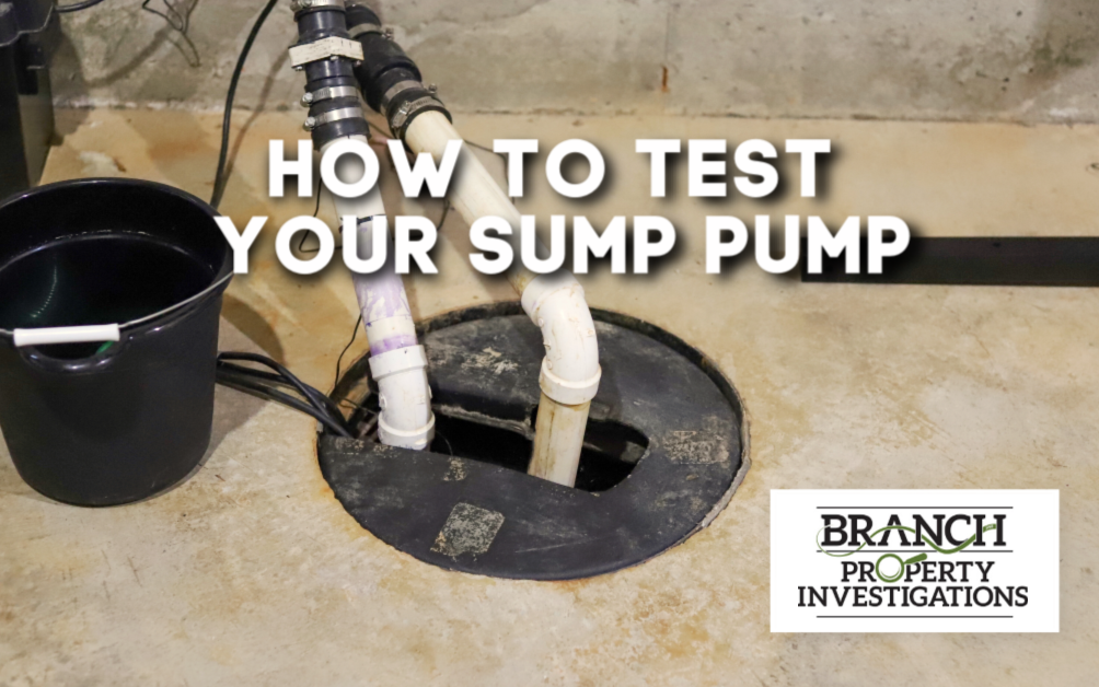 How to Test Your Sump Pump - Branch Property Investigations