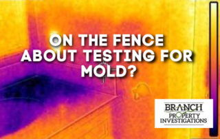mold testing