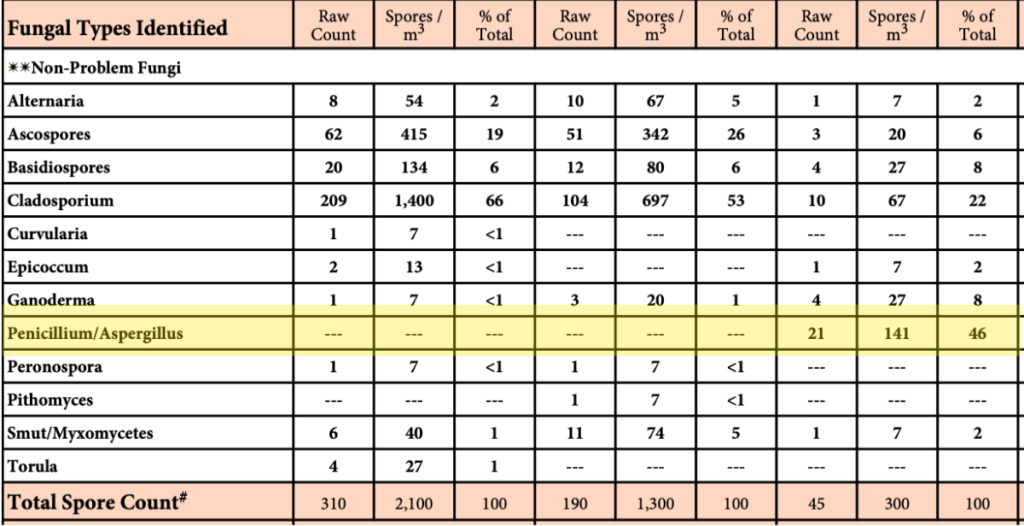 mold spore count