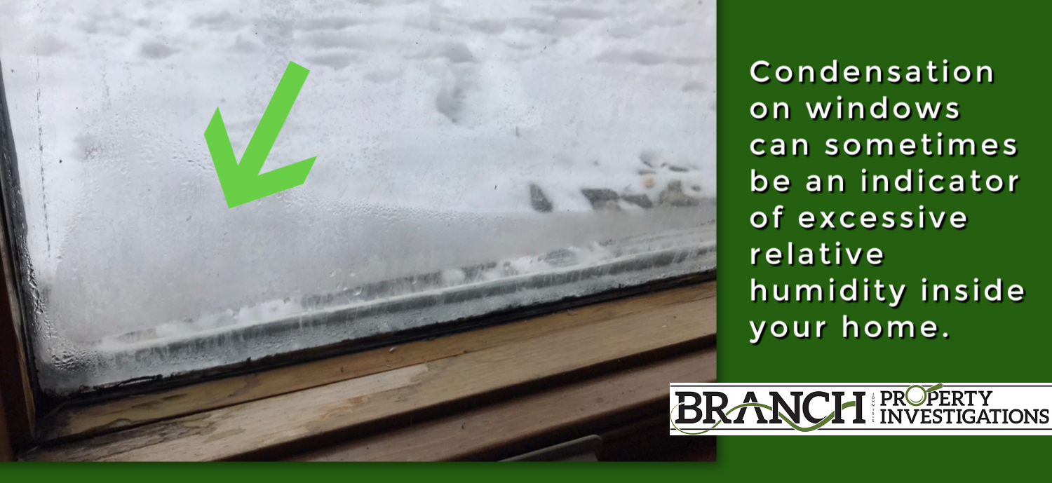 How to Prevent Window Condensation - Branch Property Investigations