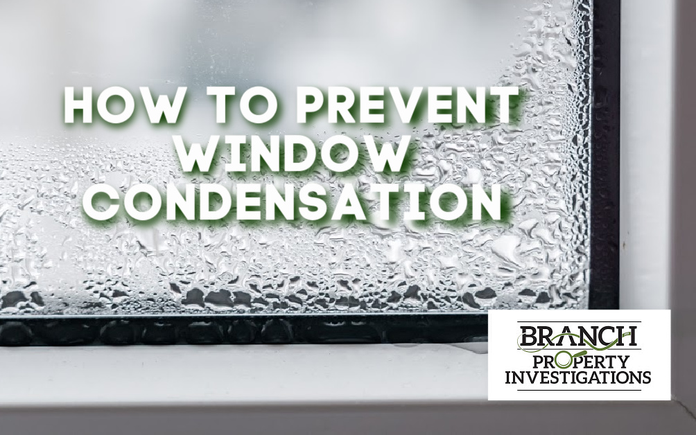 How to Prevent Window Condensation - Branch Property Investigations