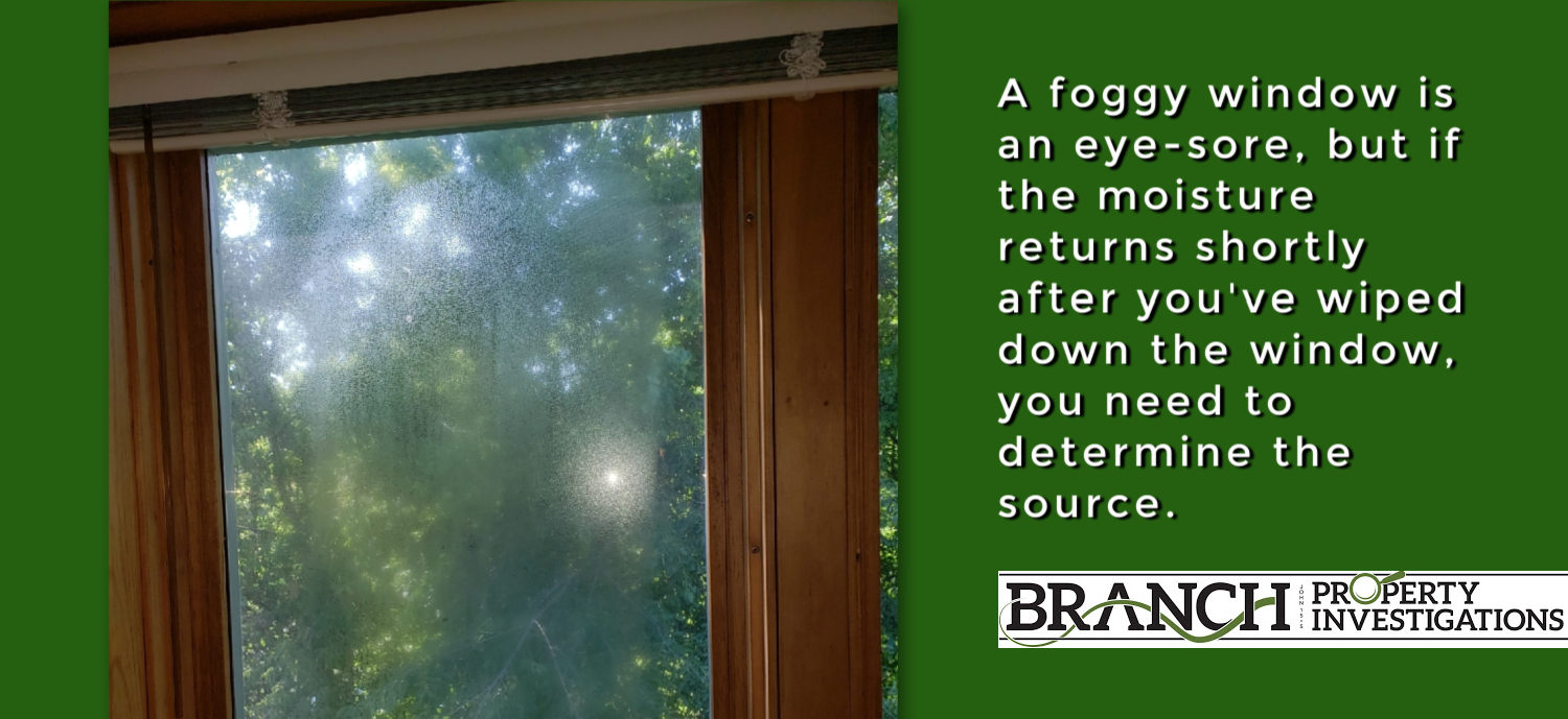 How to Prevent Window Condensation - Branch Property Investigations