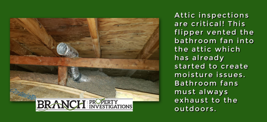 attic moisture