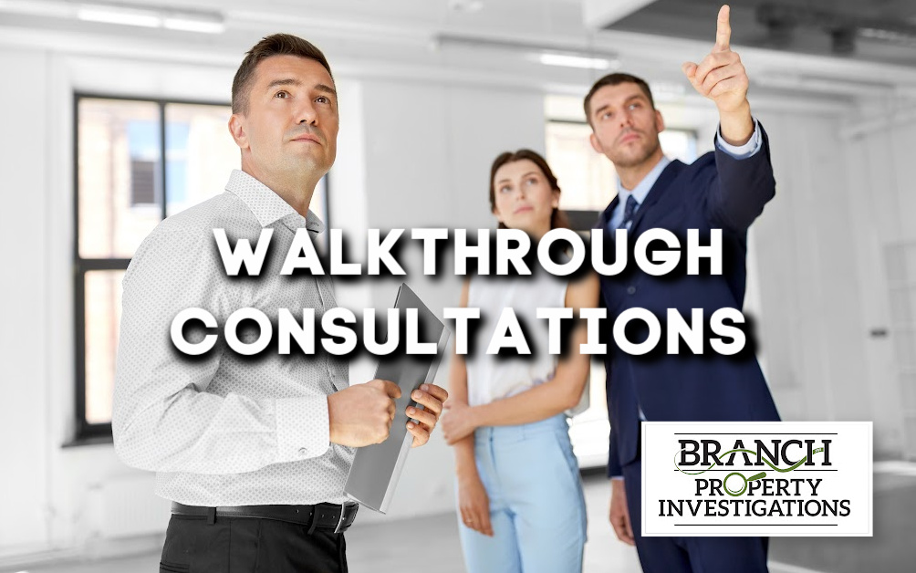 walkthrough consultation